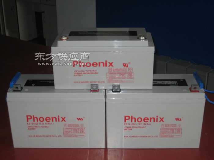 凤凰蓄电池厂家直销-【效果图,产品图,型号图,工程图】-中国